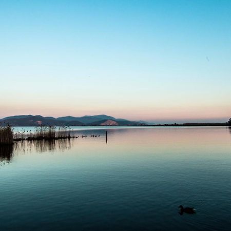 Hotel Butterfly Torre del Lago Puccini Esterno foto