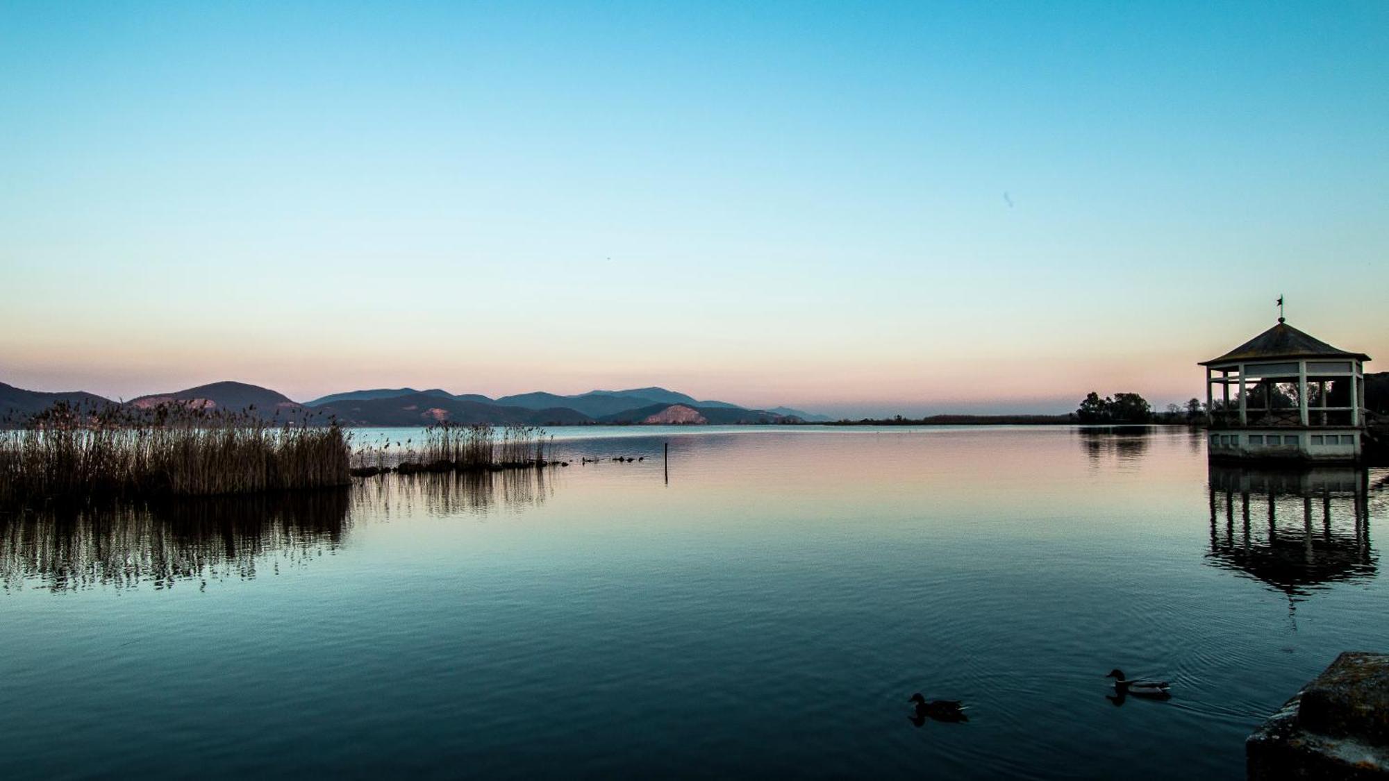 Hotel Butterfly Torre del Lago Puccini Esterno foto