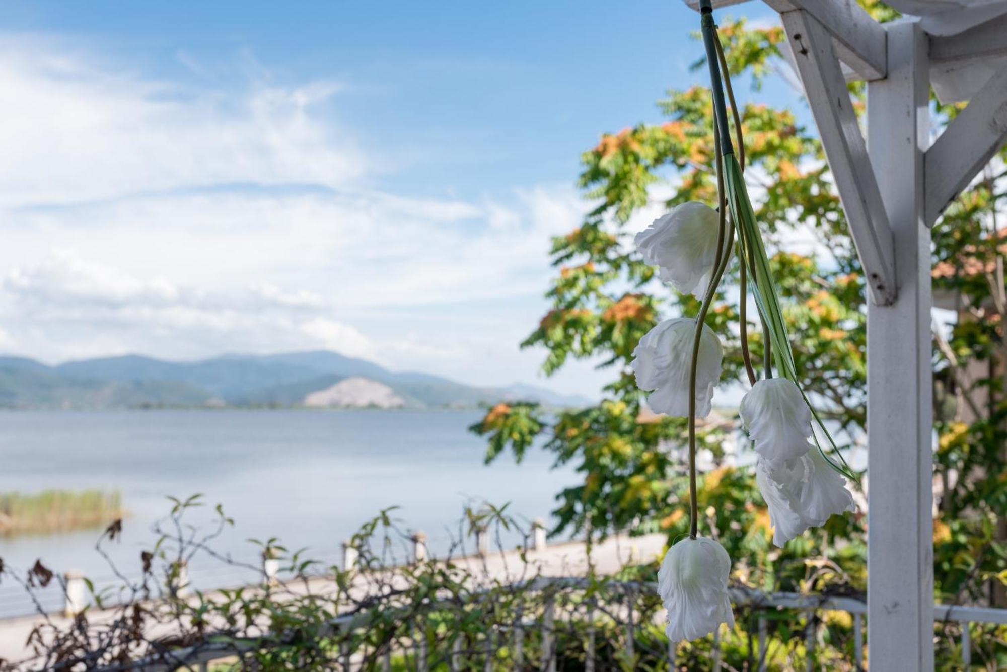 Hotel Butterfly Torre del Lago Puccini Esterno foto